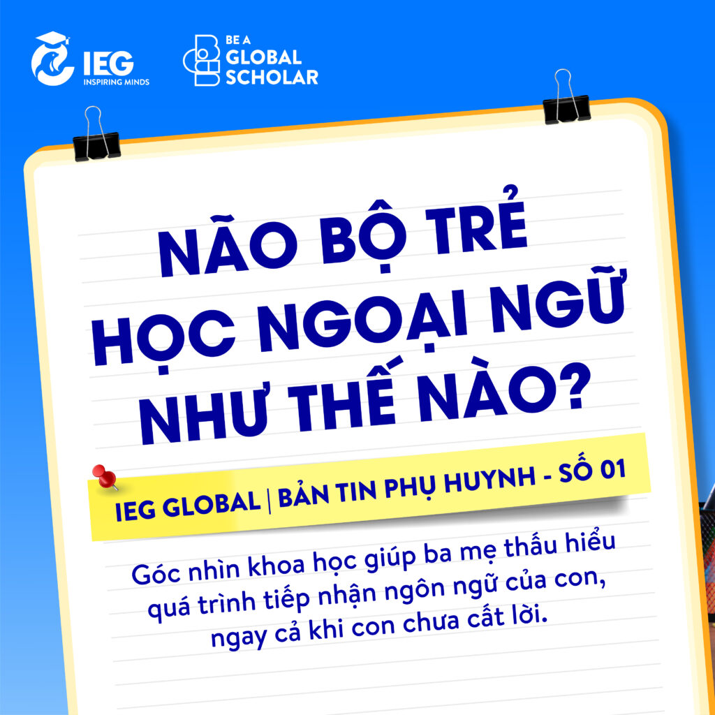 Não Bộ Trẻ Học Ngoại Ngữ Như Thế Nào? | Chuyện Học Cùng Con – IEG Global